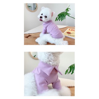 Áo cổ trơn cổ bẻ cho thú cưng