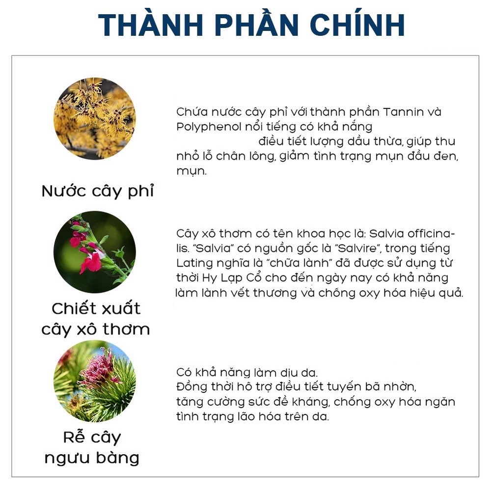 Full hộp Dán mụn Ciracle đẩy mụn đầu đen Goodbye BlackHead hộp 20 miếng NPP Shoptido