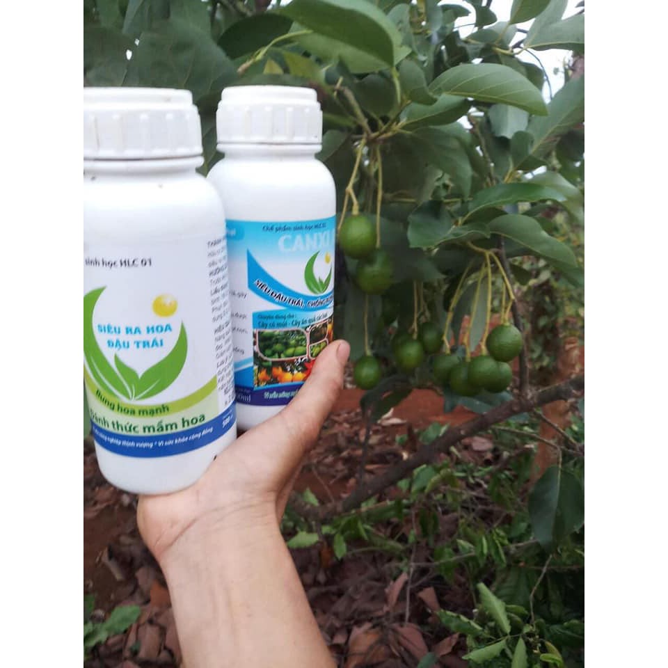 CHẾ PHẨM SINH HỌC CANXI BO HLC.Hàng công ty chính hãng