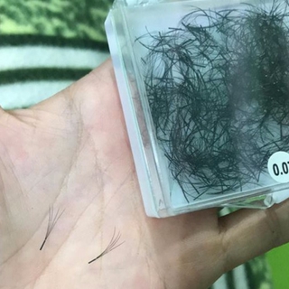 Mi fan tạo sẵn 4d