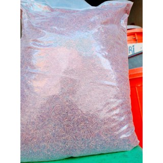 gạo huyết rồng.(hồng ngọc) ( 5kg)