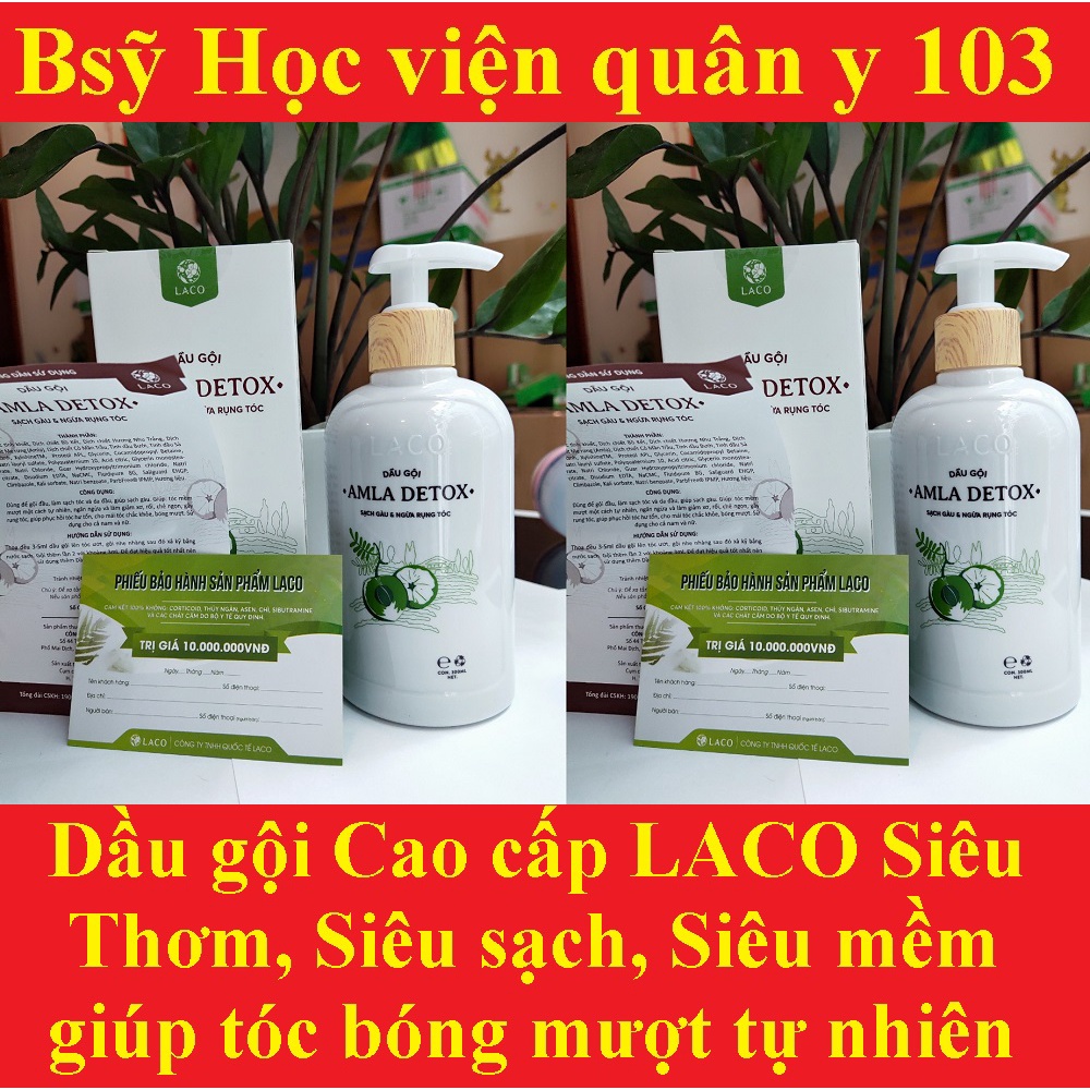 Dầu xả Amla Detox LACO 300ml chính hãng