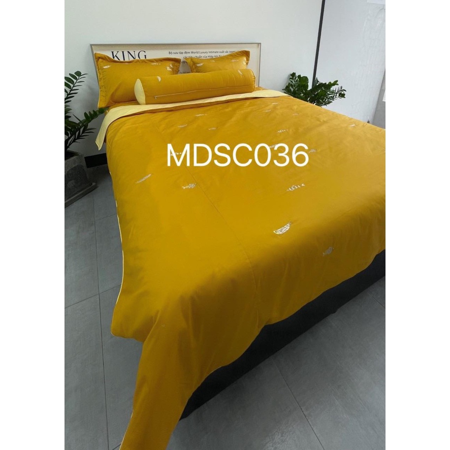 Bộ Drap chun chần EVERON MDSC036