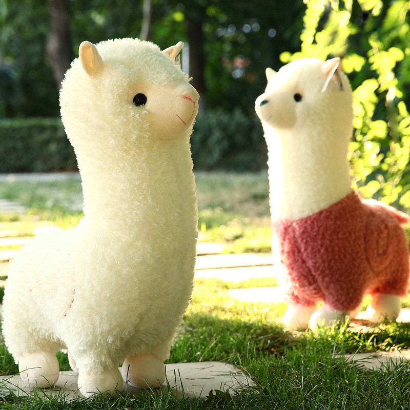 Gấu bông lạc đà alpaca đủ màu kích thước từ 26-100cm Reply18