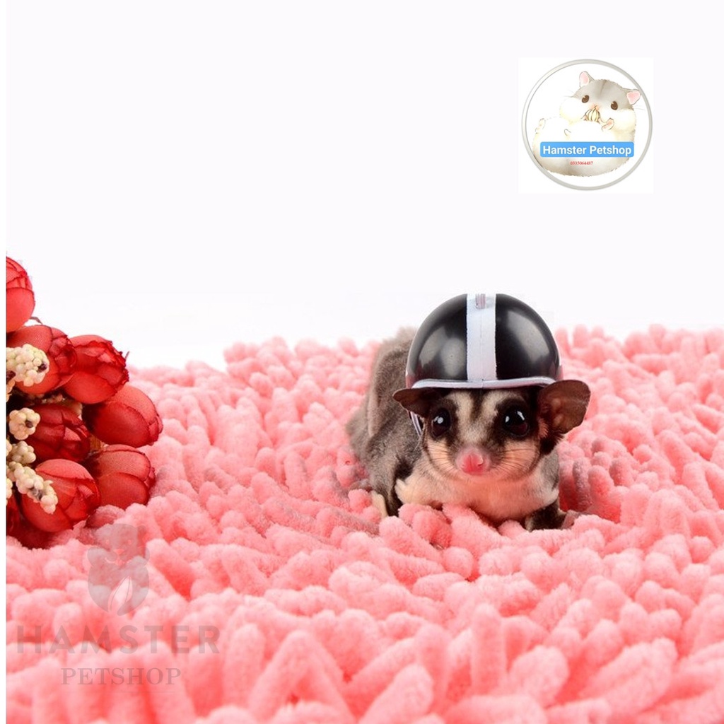 Mũ bảo hiểm cho Hamster, chim,  gà