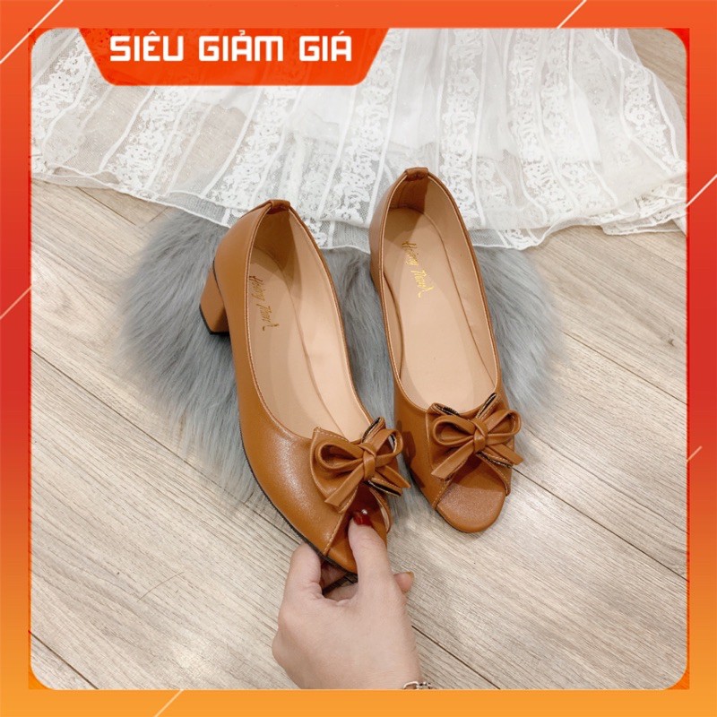 Giày Cao Gót 3 Phân Đế Vuông Mũi Nhọn Giày Búp Bê Nữ Công Sở Hoàng Thanh DN1