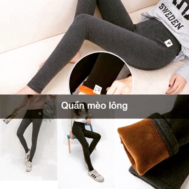 Quần mèo lông nót nỉ