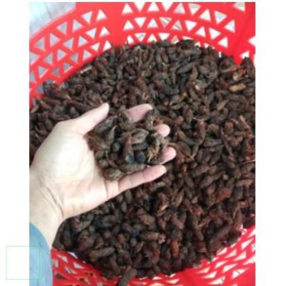 1kg Củ gấu khô hàng loại 1 thơm ngon