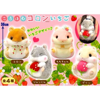 Hamster Mẫu mới chính hãng Amuse