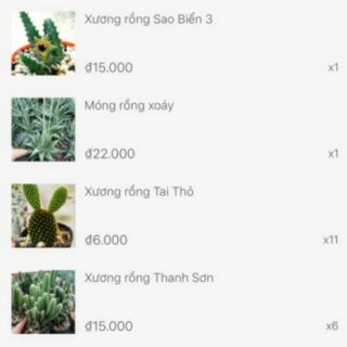 Set của khách Tuankiet95