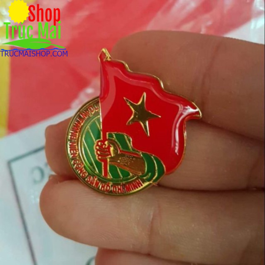 Huy Hiệu Đoàn Việt Nam