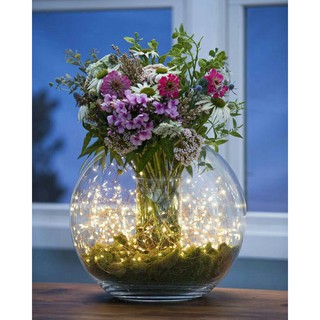 ☀️Trang Trí Tết ☀️ Led Fairy Light - Dây Led Đom Đóm 1 Mét 10 Bóng [TẶNG Kèm PIN]