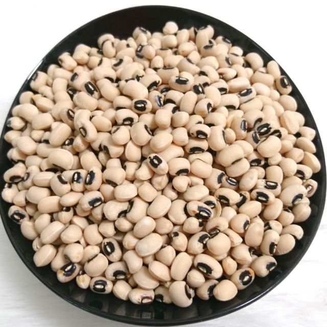 500GRAM ĐẬU TRẮNG ĐĂKLĂK GIỐNG THUẦN
