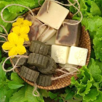 Dầu gội/ Bánh gội đầu Tinaco (Shampoo bar)