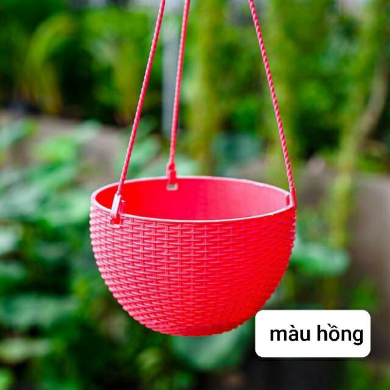 chậu treo mây trồng hoa kiểng 6 màu kèm móc treo.