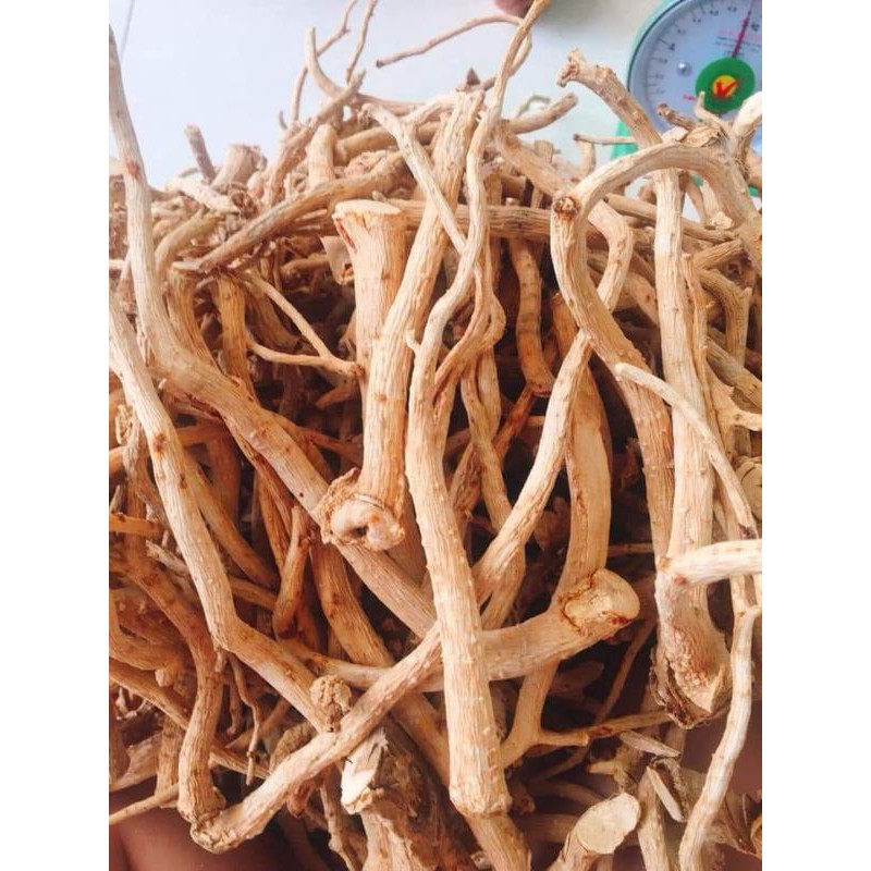 Sỉ toàn quốc rễ đinh lăng khô 500g - 1kg
