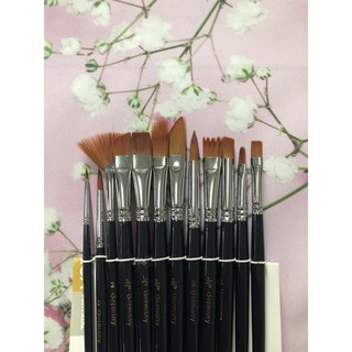 bộ 12 cọ vẽ,Cọ vẽ Bomeijia (tên cũ bomega)