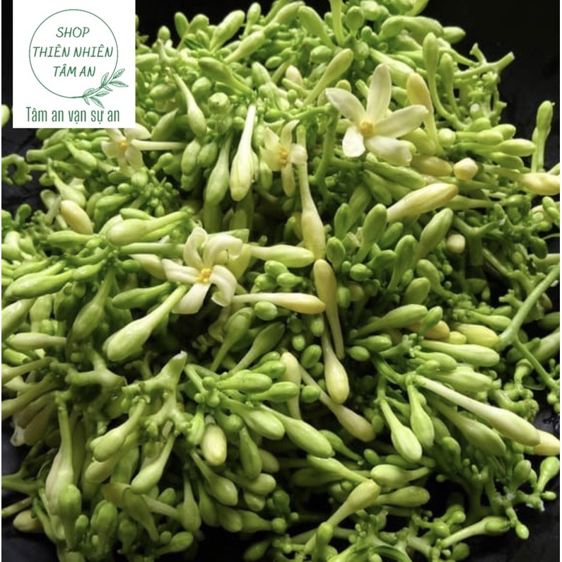 Hoa đu đủ đực tươi 1kg [O9O732O955 CHAT / CHECK TIN NHẮN CỦA SHOP ĐỂ HƯỚNG DẪN ĐẶT HÀNG]