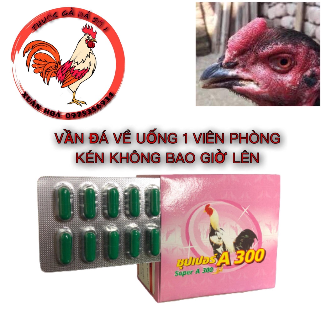 TIêu kén A300 uống 3-5 hôm là tiêu