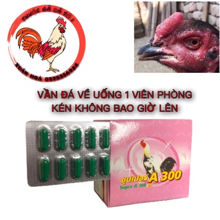 Tiêu kén a300