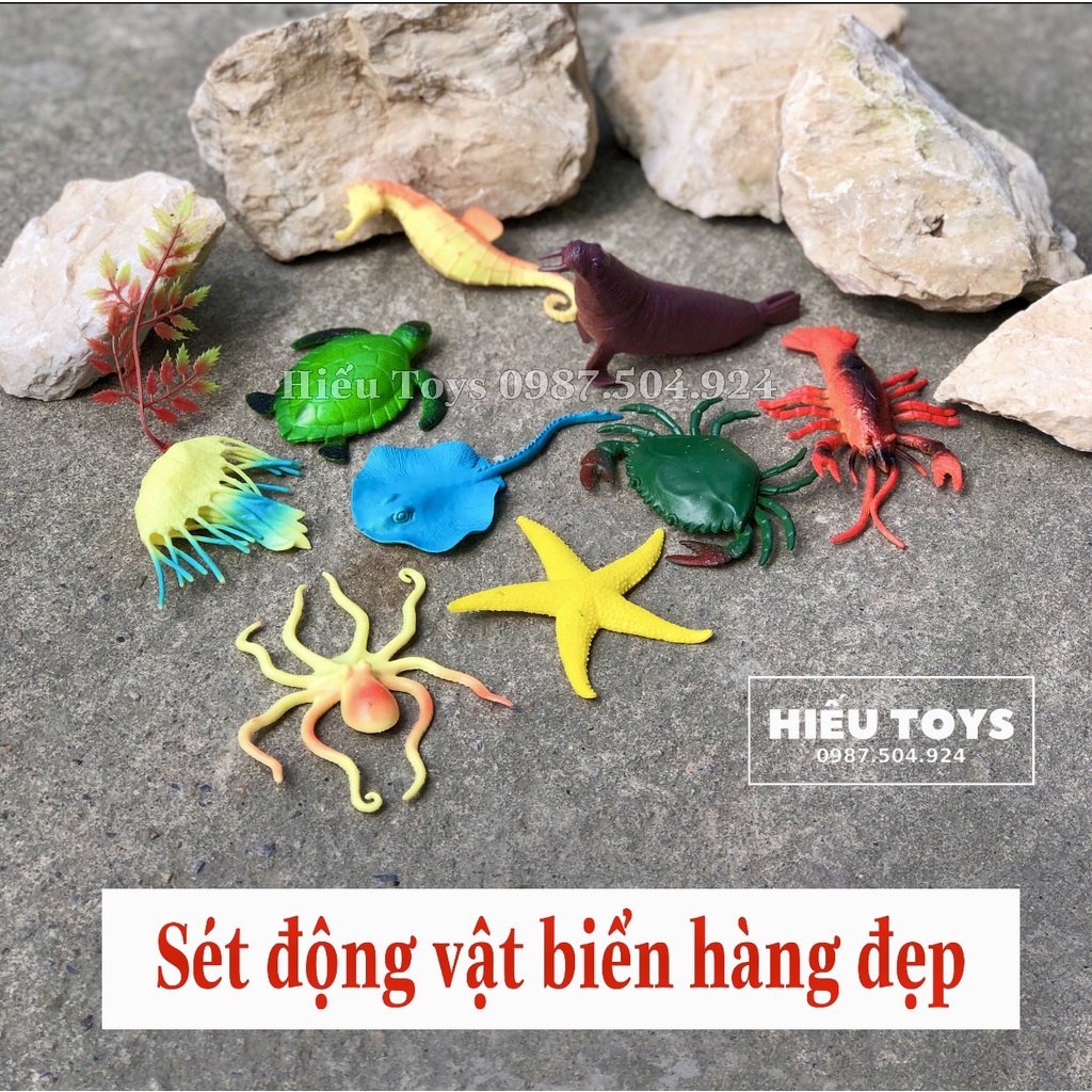 Mô Hình Động Vật Sét 10 Thú Rừng Cỡ Lớn  Chất Liệu Cao Cấp An Toàn Cho Bé Đồ Chơi Trẻ Em Từ 1 Đến 8 Tuổi Hiếu Toys