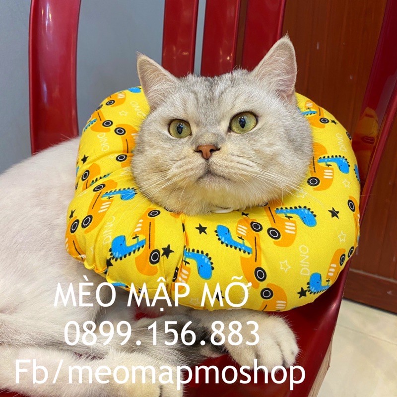 VÒNG GỐI CHỐNG LIẾM CHÓ MÈO