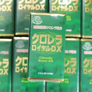 Combo khách tảo lục 1550 viên