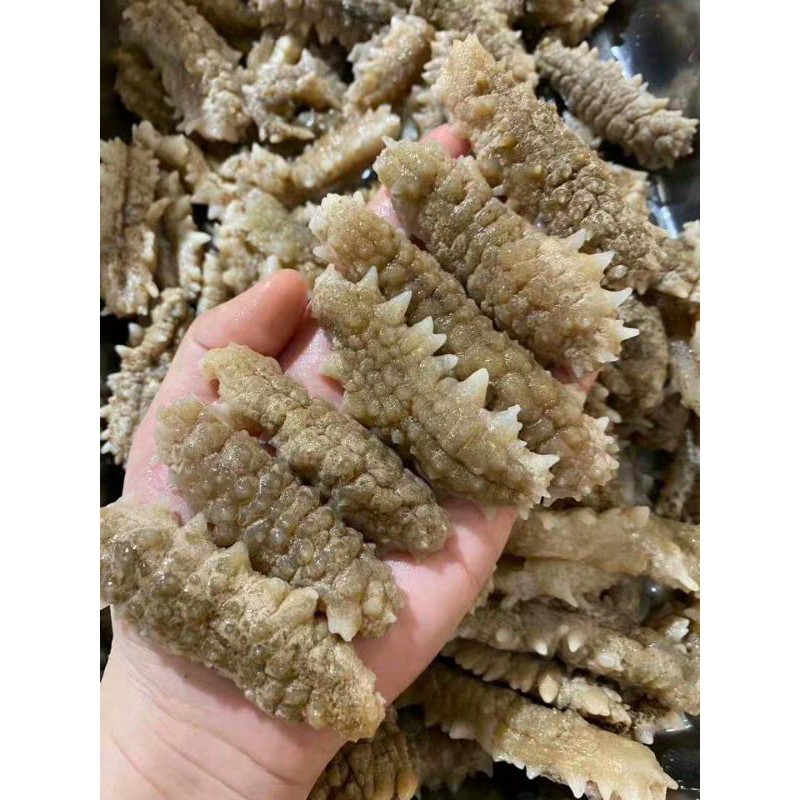 Hải Sâm Khô ( 50g )