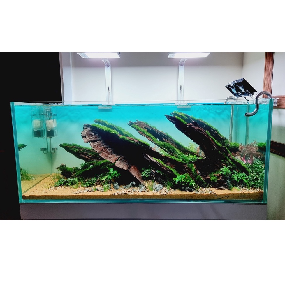 Lũa San Đá Miếng  SetUp Hồ Thuỷ Sinh | Trang Trí Hồ Cá | Size Mini đến size Lớn