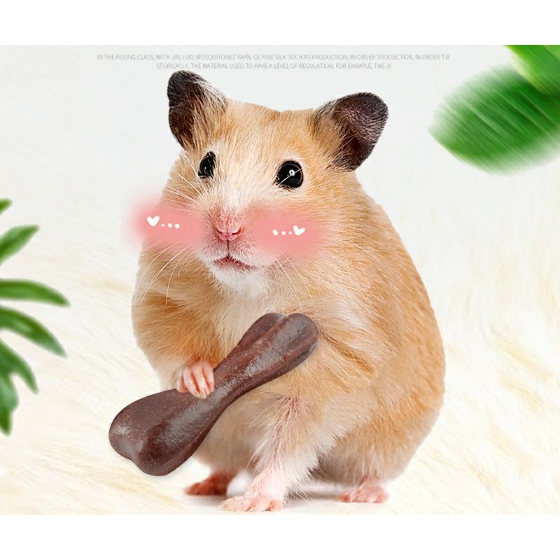 [Run Around]Vitamin,viên đu đủ,mài răng cho hamster và thú cưng nhỏ