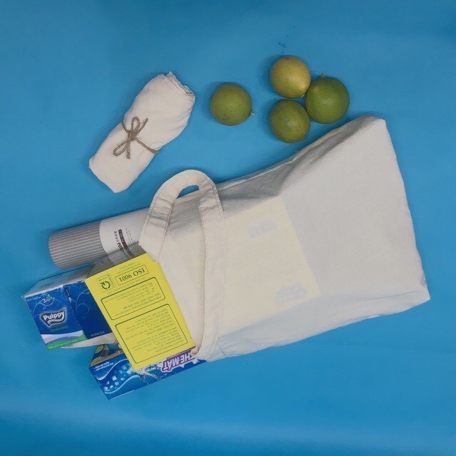 Túi vải tote nữ Canvas trơn trắng GADY - GDTT04 - dùng vẽ, thêu, in, túi đựng