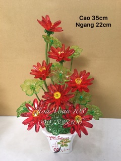 Chậu hoa súng
