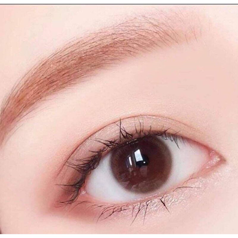 Lens - kính áp tròng nâu tự nhiên sử dụng 1 năm giãn nhỏ