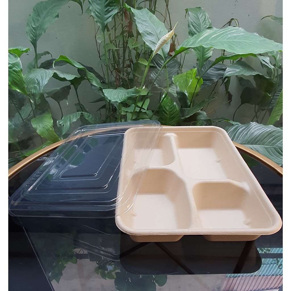 50 Hộp bã mía 4 ngăn nắp nhựa Pet trong suốt