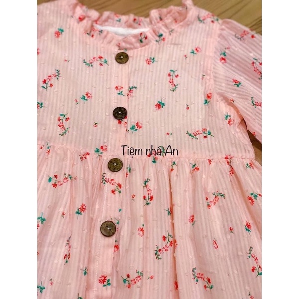 Nút dừa đủ size