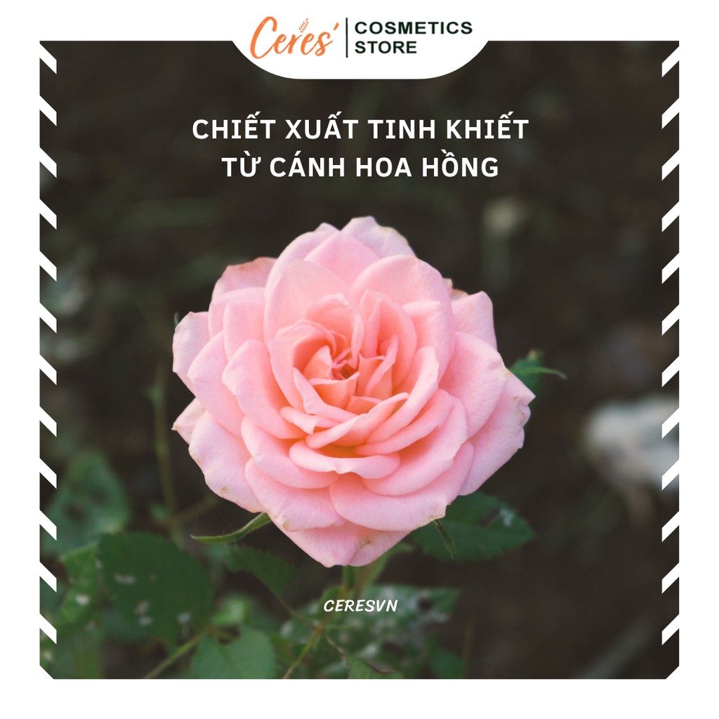 Nước Hoa Hồng Rose Water Toner Kiss Beauty Cấp Ẩm Cân Bằng Da 150ml | BigBuy360 - bigbuy360.vn