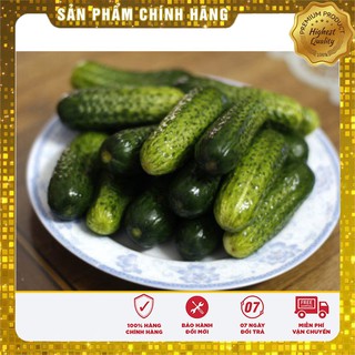 Hạt Giống Dưa Leo Bao Tử ( 10 hạt)
