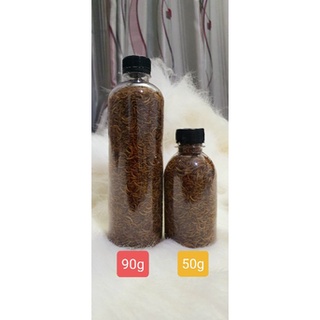 Sâu Gạo Sấy Khô