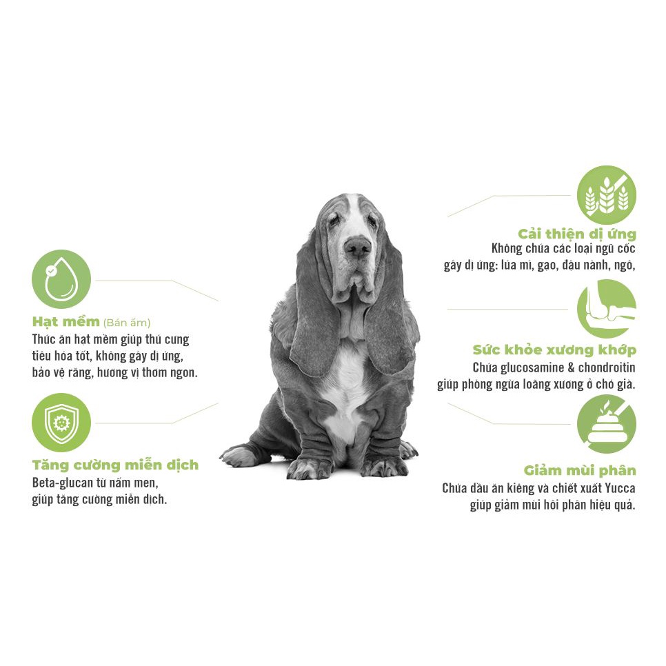 THỨC ĂN HẠT MỀM CHÓ CON ZENITH PUPPY 3KG