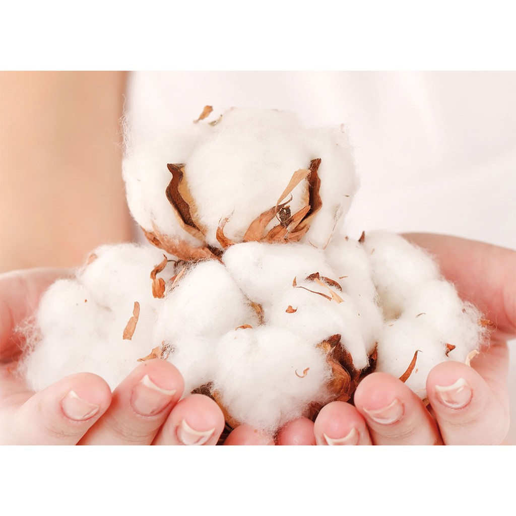Bông tẩy trang Naturessence - 100% cotton - 120 miếng, 40 miếng - Italia