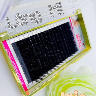 Mi khay - Mi nối Hani - siêu đen cao cấp - Nối mi Classic + Volume - độ cong D - Mi khay mix size