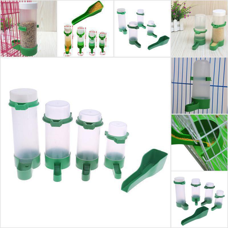 Dụng Cụ Cho Chim Vẹt Ăn Uống Tiện Dụng