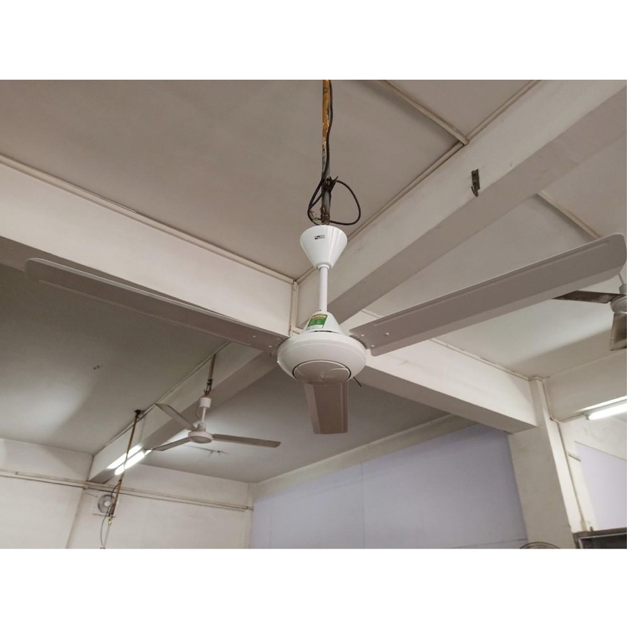 Quạt trần AC 03 cánh ACF01A563 70W động cơ AC, cánh 140cm