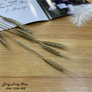 Thảm vân gỗ vàng chụp hình ảnh sản phẩm, lót bàn tủ kệ, làm đồ handmade