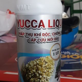 YUCCA - HẤP THU KHÍ ĐỘC TRONG AO NUÔI TÔM CÁ