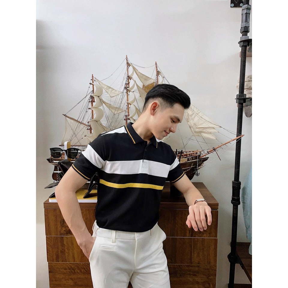 Áo polo nam cổ bẻ vải cá sấu Cotton xuất xịn,chuẩn form, sang trọng - thanh lịch TB011