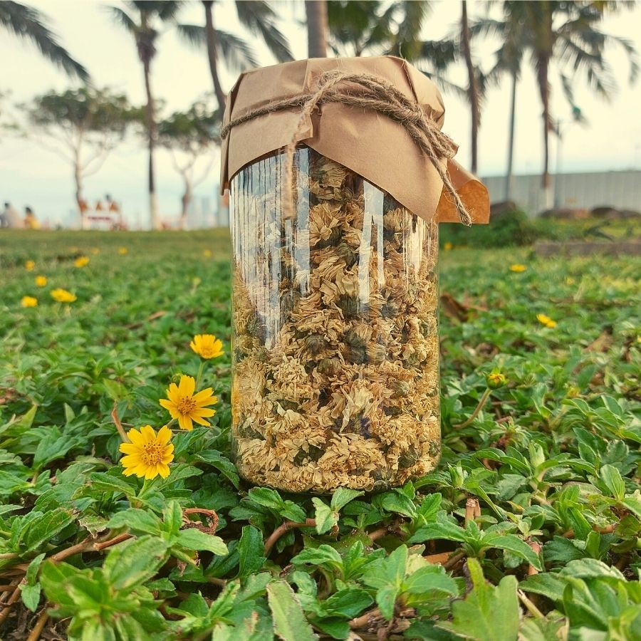 BẠCH CÚC-  trà hoa thảo mộc Đà Nẵng - Ato trà - TRÀ HOA CÚC TRẮNG GIÚP NGỦ NGON - AN THẦN