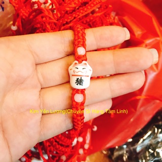 🎀 vòng mèo may mắn 🎀