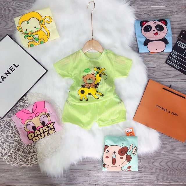 combo 5 bộ cotton thông hơi hình thú
