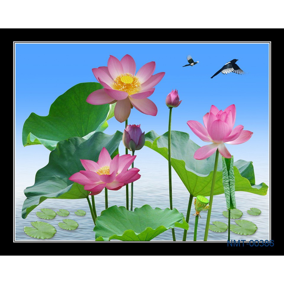 Tranh đính đá 5D , Tranh Hoa sen đính đá toàn bộ